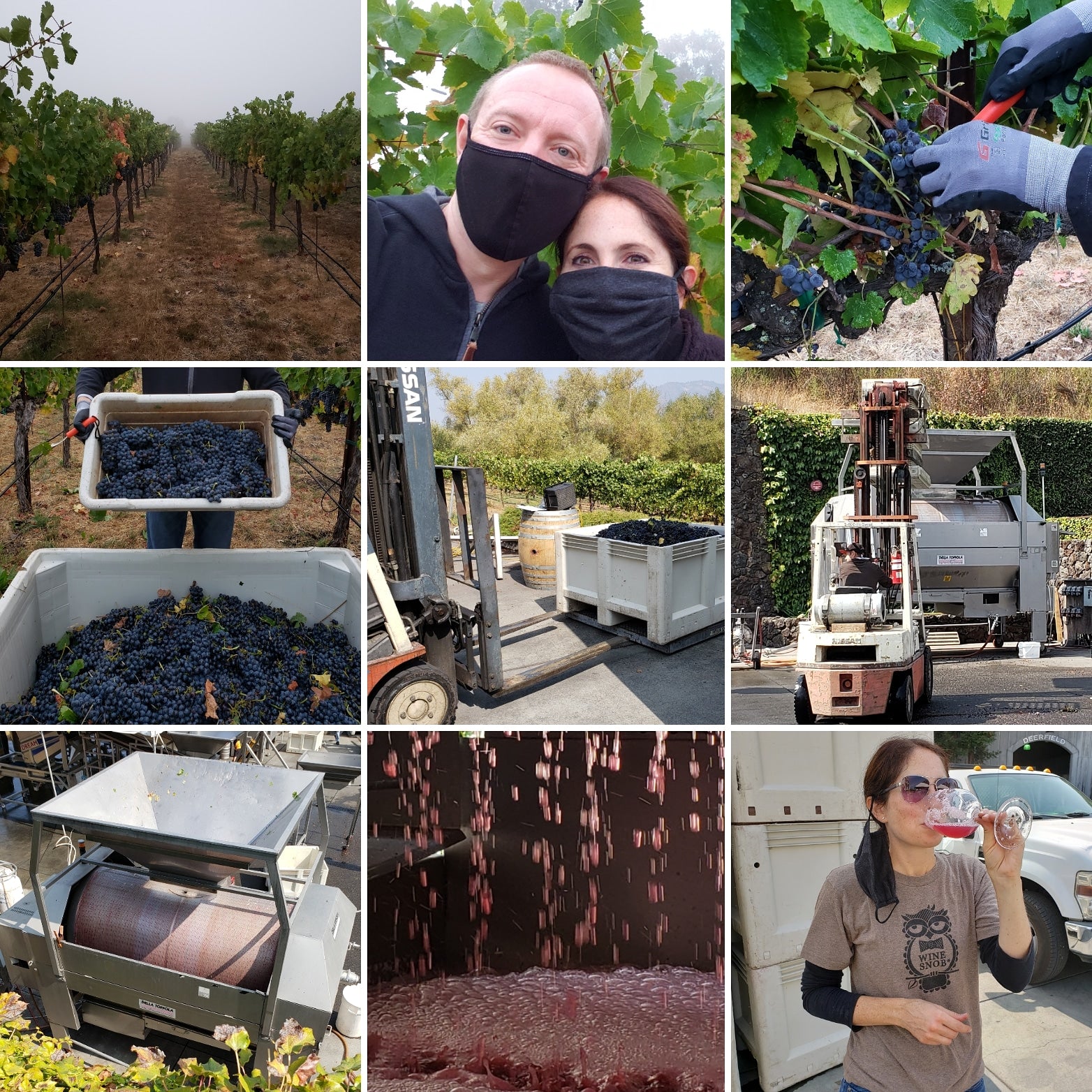 Wine Snob* 2020 Rosé