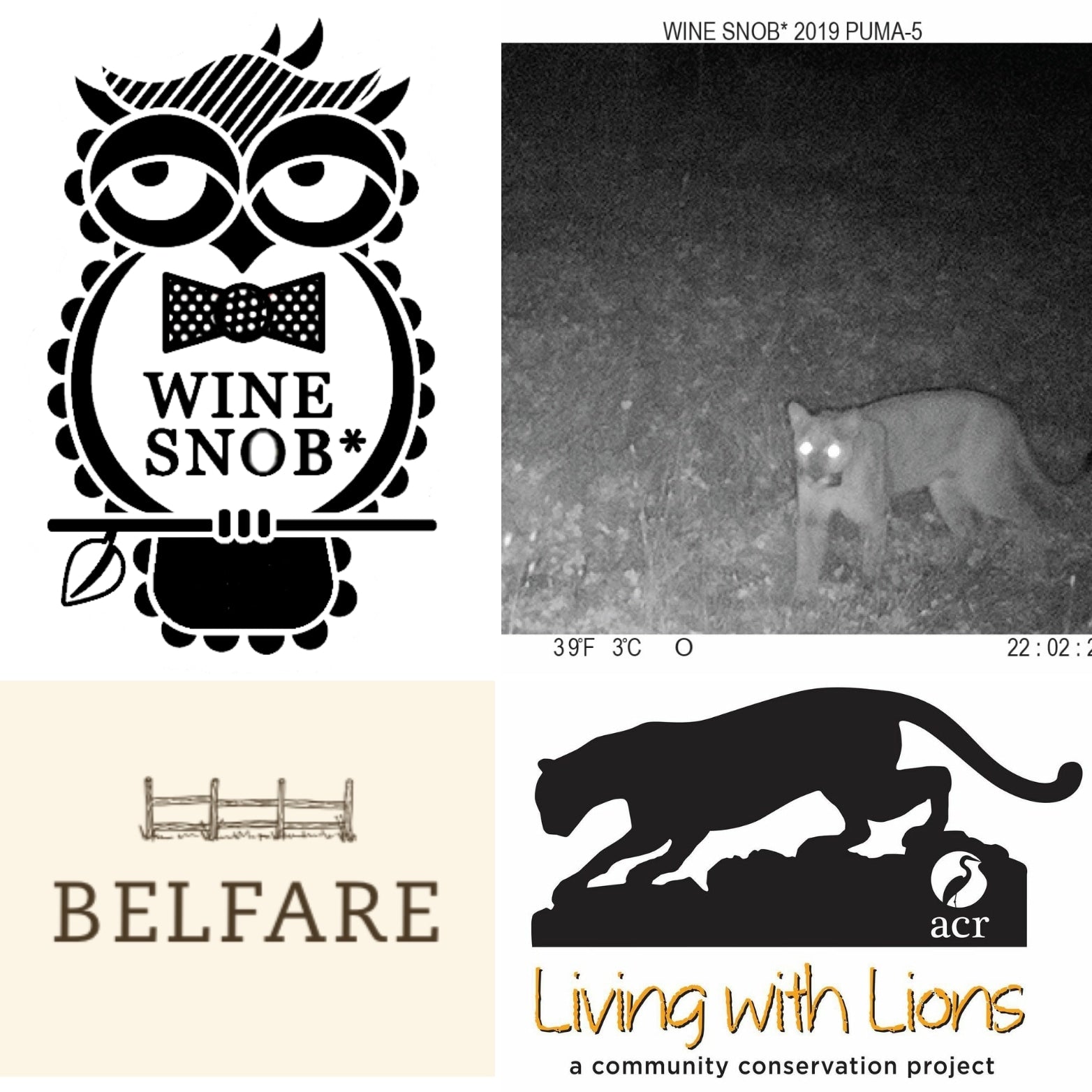 Wine Snob* 2019 Puma-5 Release Party!